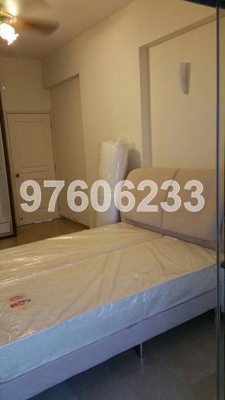 Woodsville Mansions (D13), Apartment #134146692